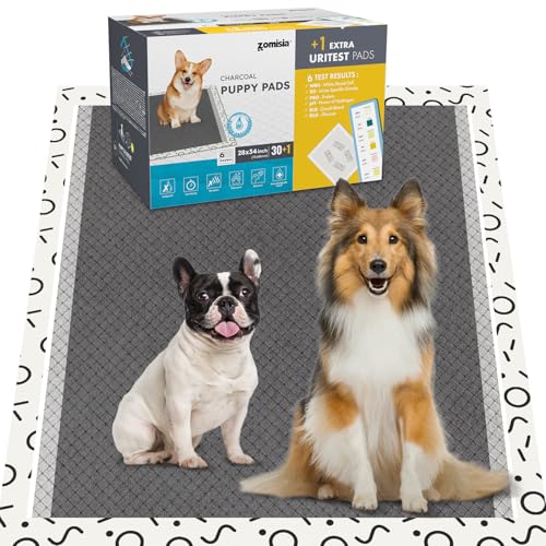 Image of ZOMISIA Charcoal Puppy Pee Pads for Dogs Extra Large, 28 inchx34 inch 30 Counts + 1 Extra Health Monitoring Pad - XL Dog Potty Training Pads Disposable, Odor-Control, Super Absorbent Leak-Proof