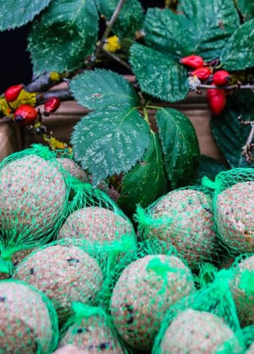 Anhaltiner Meisenknödel mit Netz 100 Stück Premiumfutter Meisenfutter eigene Herstellung in Deutschland im Familienbetrieb frisch produziert