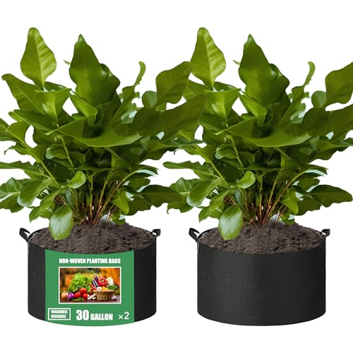 FVOTNW 2-Pack 30 Gallon Fabric Grow Bags with Handle Heavy Duty 300G Thickened Nonwoven with Handles and Reusable Suitable for Garden Vegetables Fruits and Flowers(Black)