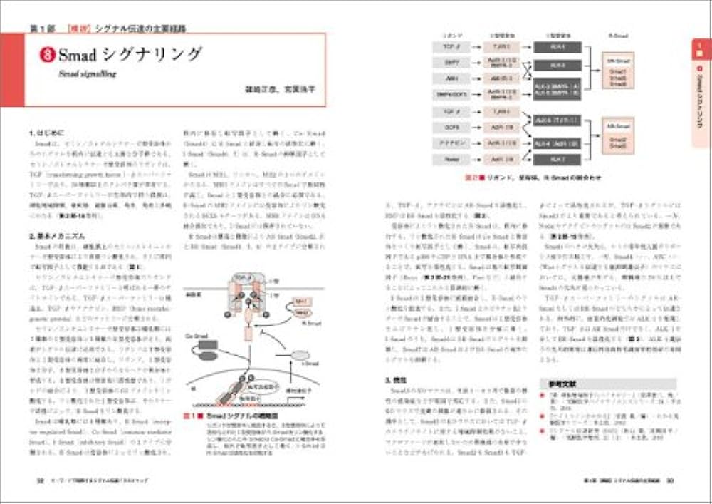 キーワードで理解する免疫学イラストマップ―あふれる用語の整理ができ、用語間の複雑な関連性もわかる! 烏山 一 キーワードで理解する免疫学イラストマップ―あふれる用語の整理