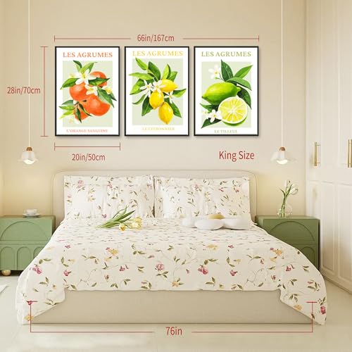 SERIMINO Fruit Botanical Wall Art for Kitchen, Lemon Prints Framed Canvas Wall Decor for Floral Dining Room Farmhouse, Watercolor Paintings Room Decor Aesthetic 3 Piece Set, 20"X28"