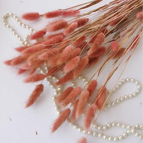 Pampas Grass Decor Tall 50Pcs 17.72 Inch Fluffy Bunny Rabbit Tail Grass