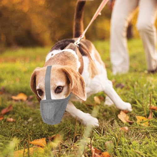 Image of Dog Muzzle, Soft Mesh Covered Muzzles for Small, Medium, Large and X-Large Dogs, Muzzle with Adjustable Straps, Prevent Barking, Biting, and Accidental Ingestion (Grey, Medium)