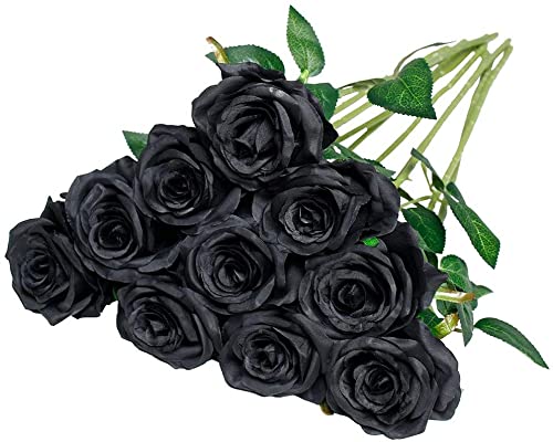 lHVN[Yt[, 10 PCS ԃVNt[tFCNVOXeu[~O[YuC_u[Ppz[o[Xf[p[eB[AWgK[ffR[V ()