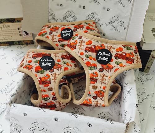 Pumpkin Patch Dog Harness M, Orange, medium