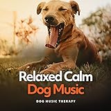 Man's Best Friend Records