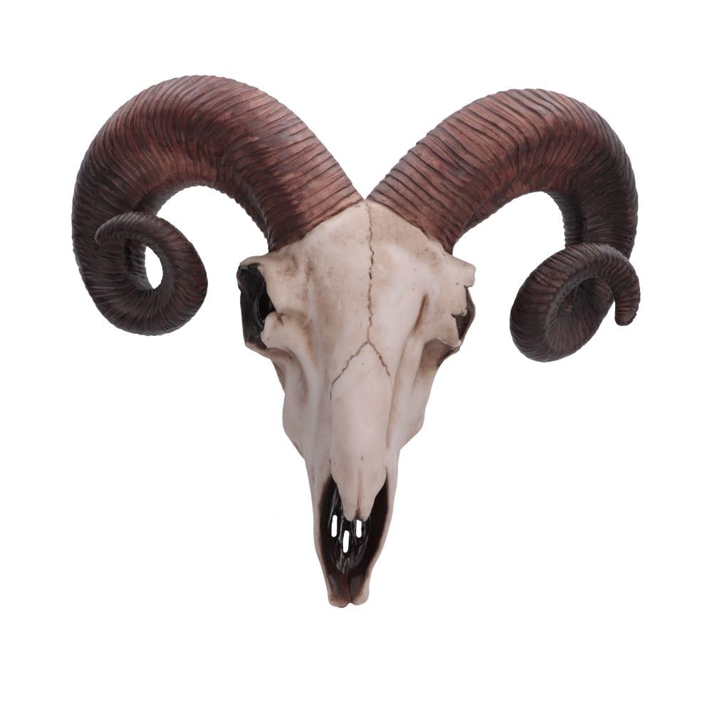 Nemesis Now Rams Skull Medium Wall Plaque 32.5cm Ivory, Resin, One Size