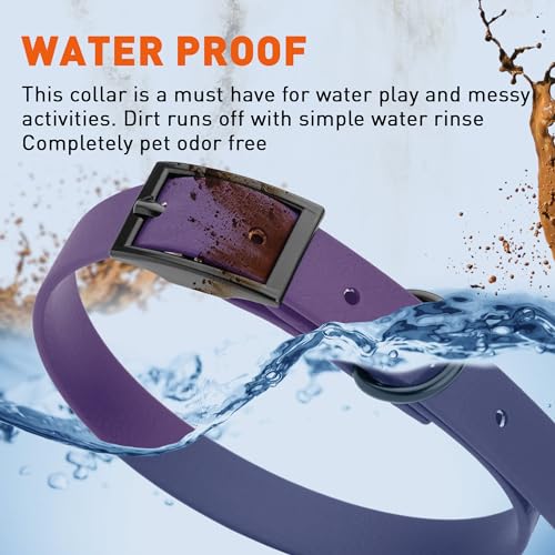 Image of Dogline Biothane Waterproof Dog Collar Strong Coated Nylon Webbing with Black Hardware Odor- Proof for Easy Care Easy to Clean High Performance Fits Small Medium or Large Dogs, Violet Purple