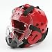 Martial Arts Universal Clear Face Shield