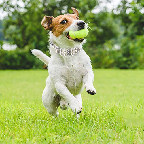Roupa para cachorros-Fantasia de animal de estimação de quatro pernas de dinossauro adorável roupas