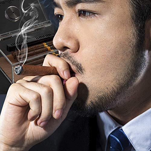 Scotte Acrylic Cigar Humidor Jar/case/Box with Humidifier and