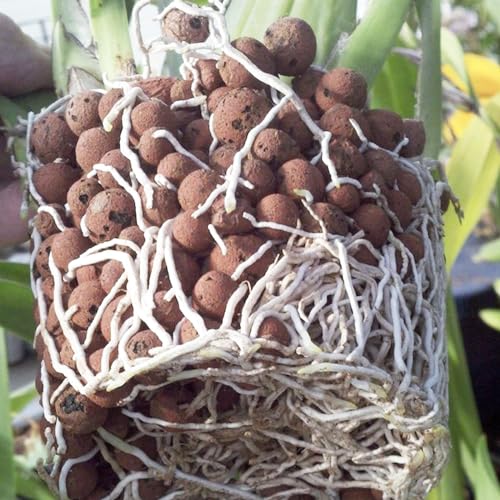 Image of Pulovin 2.5 lbs LECA Clay Pebbles for Plants, 4-16mm LECA Balls for Indoor Plants Drainage, Hydroponics, Aquaponics, Natural Clay Balls for Soil Root Development, Orchid Potting Mix