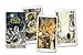 The Pagan Tarot