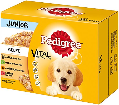 Pedigree Comida húmeda para perros junior para cachorros, selección en gelatina, 12 bolsas de porciones (12 x 100 g)