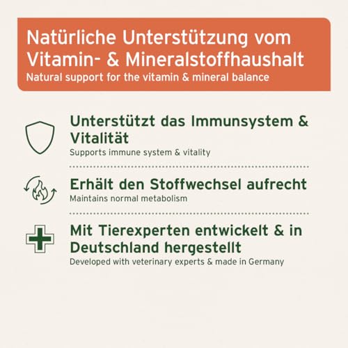 AniForte MultiVETAL Multivitamin Pulver für Hunde, Katzen 100g - Natürliche Vitamine, Mineralstoffe & Nährstoffe für eine optimale Versorgung, Unterstützung der natürlichen Abwehrkräfte