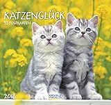  KatzenGlück 2018: aufstellbarer Wochen-Postkartenkalender