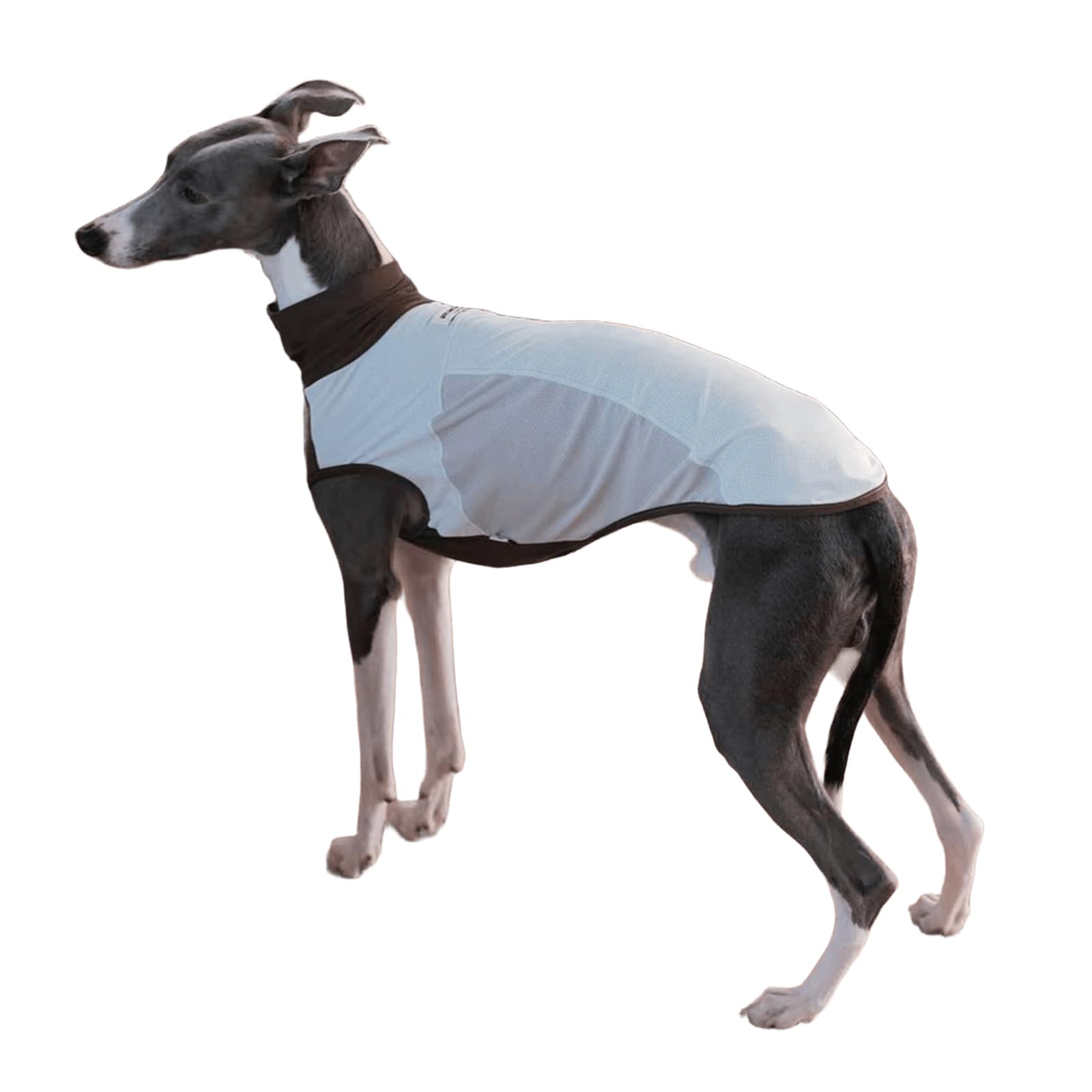 UOSIA Greyhound Dog Shirt UPF50＋ Sun Shirt UV Protection Quick-Dry Dog Cooling Vest Summer Lightweight Stretchy Pet Tank Top Whippet Clothes for Small Medium Breeds