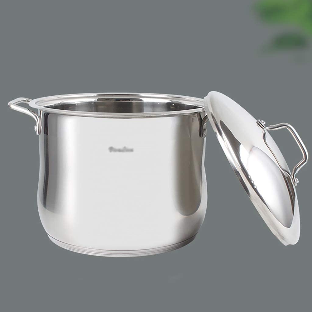 Olla grande de acero inoxidable, olla resistente para guisos, apta para todas las estufas, 21 L