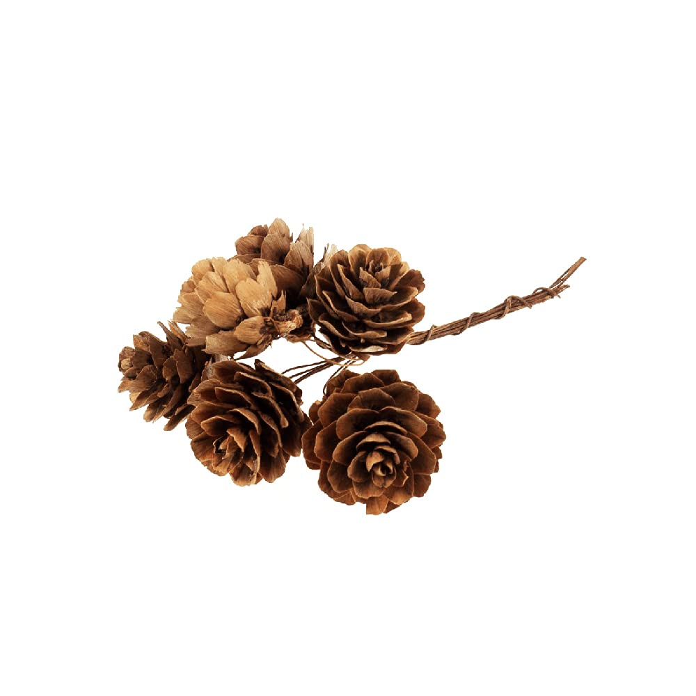 FloristryWarehouse Pack of 36 Natural Mini Pine Cones on Wires