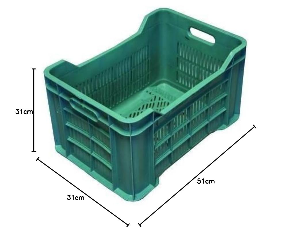 RICEL SUD Cesta Ortofrutta Maxi Verde Vimini Rettangolare 51x35x31h