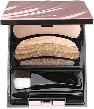 Amazon.co.jp: ソフィーナ オーブ ブラシひと塗りシャドウN SC01