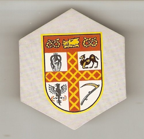 Mr Softee "Stoke City" football badge card