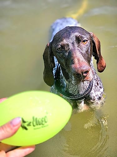 Dingo Bäll Play & Glow 8 X 14 cm Fluoreszierende Spiel mit Hund Leuchtball Rugby Quietschen Vinyl 16970