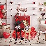6 pcs valentines day dog costume set including 2 pcs red heart headband 2 pcs buffalo plaid pet bandana 2 pcs red tutu skirt, cupid headband dog tutu for large dogs medium holiday outfit accessory 13 51zmkwpk ql. Sl500. Ss150