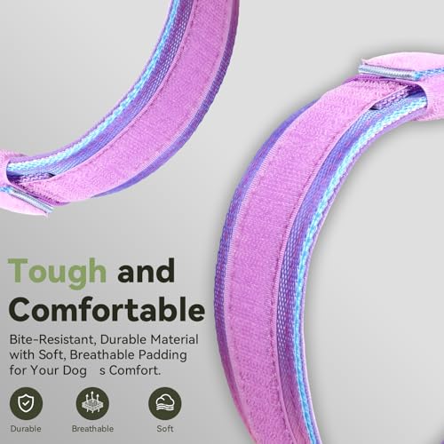 Image of 2026 Upgrade Waterproof Tactical AirTag Dog Collar, Built in AirTag Holder
