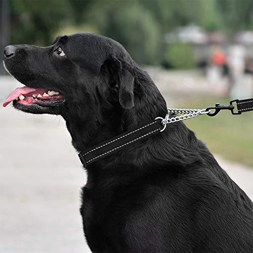 Collardirect Martingale Dog Collar Training Adjustable Stainless Steel Chain Reflective Nylon Pet Collars For Medium Large Dogs (L, Neck Fit 16"-24", Black) #TOP2