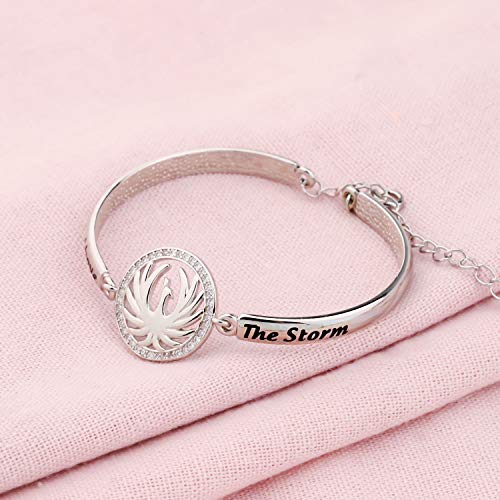LQRI Phoenix Bracelet Rise Above the Storm Phoenix Charm Bracelet Fire Bird Jewelry Phoenix Rebirth Jewelry Inspirational Gift for Friends Graduates3