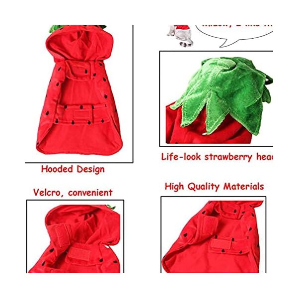Popetpop cat clothes - strawberry pet halloween costume pet apparel puppy kitten strawberry hooded clothes christmas new year birthday party daily wear dress up - image 5