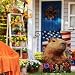 Wordatu Welcome Capybara Patriotic Decorative Garden Flag 4th of July Flower Yard Outside Decoration Outdoor Small Home Decor Double Sided 12x18 (3854)