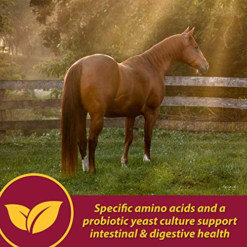 Farnam Senior Health & Wellness Supplement, 3.75 lb.