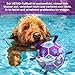 HETOO Hundeball Hundespielzeug Ball mit Griff für Hund Interaktives Schleppen von Krieg Wasser Hundebälle Spielzeug Geburtstagsgeschenk für Mittel/Große Hunde (6 Zoll Lila Blau)