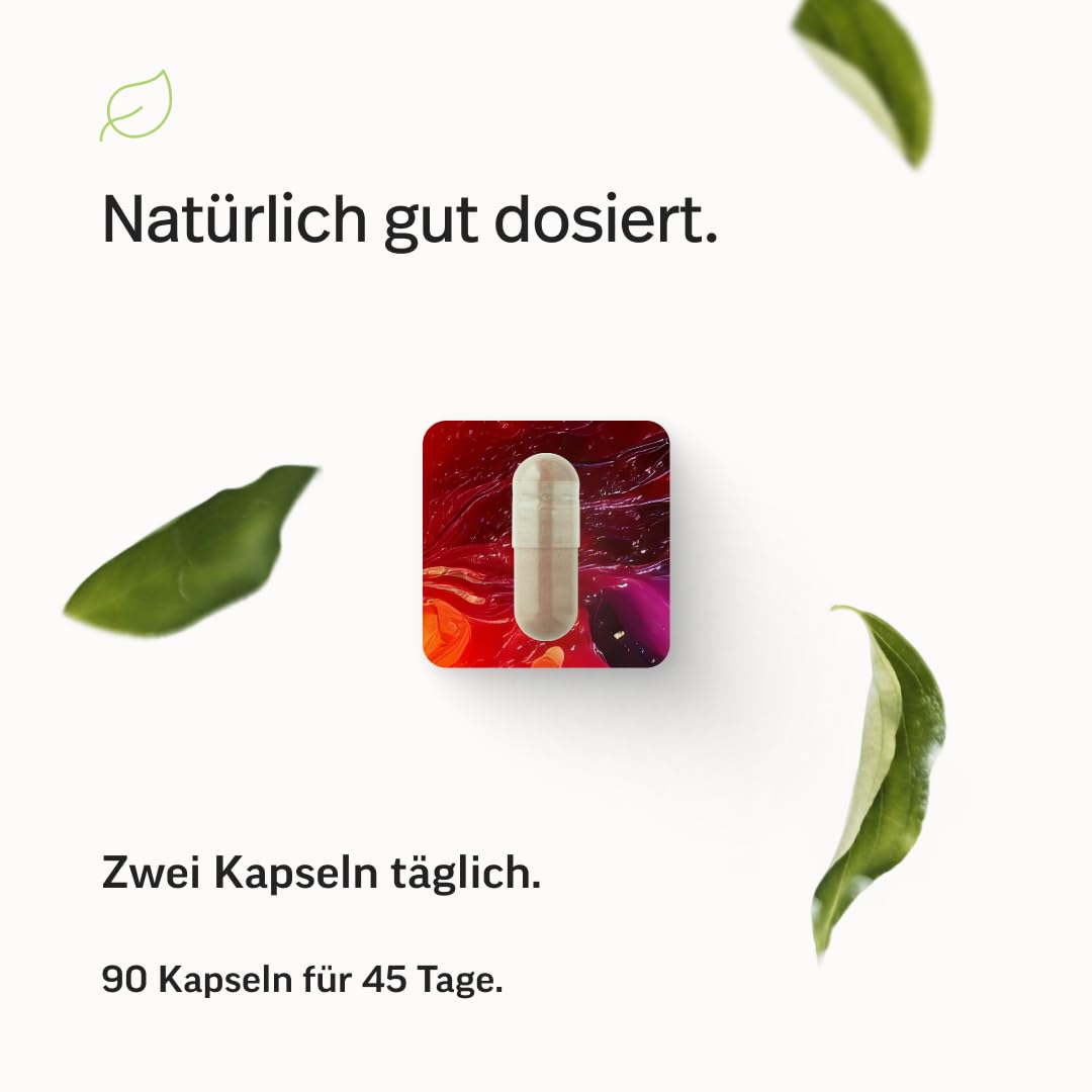 edubily® Eisen mit Lactoferrin - Eisentabletten mit Lactoferrin & Vitamin C aus Acerola-Extrakt - Kleine, leicht zu schluckende Kapseln (90 Kapseln)