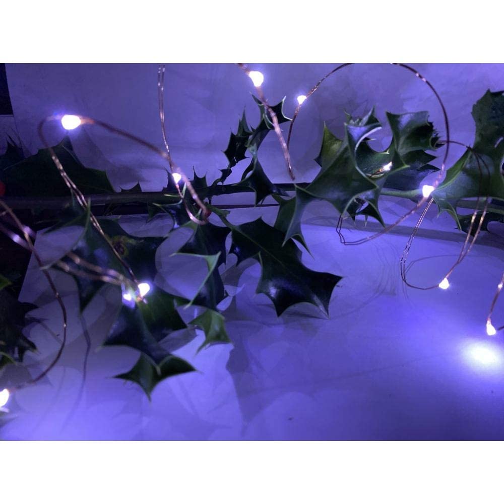 LightsGo Micro Nano Christmas Fairy Lights 10M 100 LED Copper Wire USB Remote Control, Timer (Cool White)