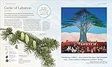 The Tree Book: The Stories, Science, and History of Trees - Image 5