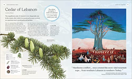 The Tree Book: The Stories, Science, and History of Trees - Image 5