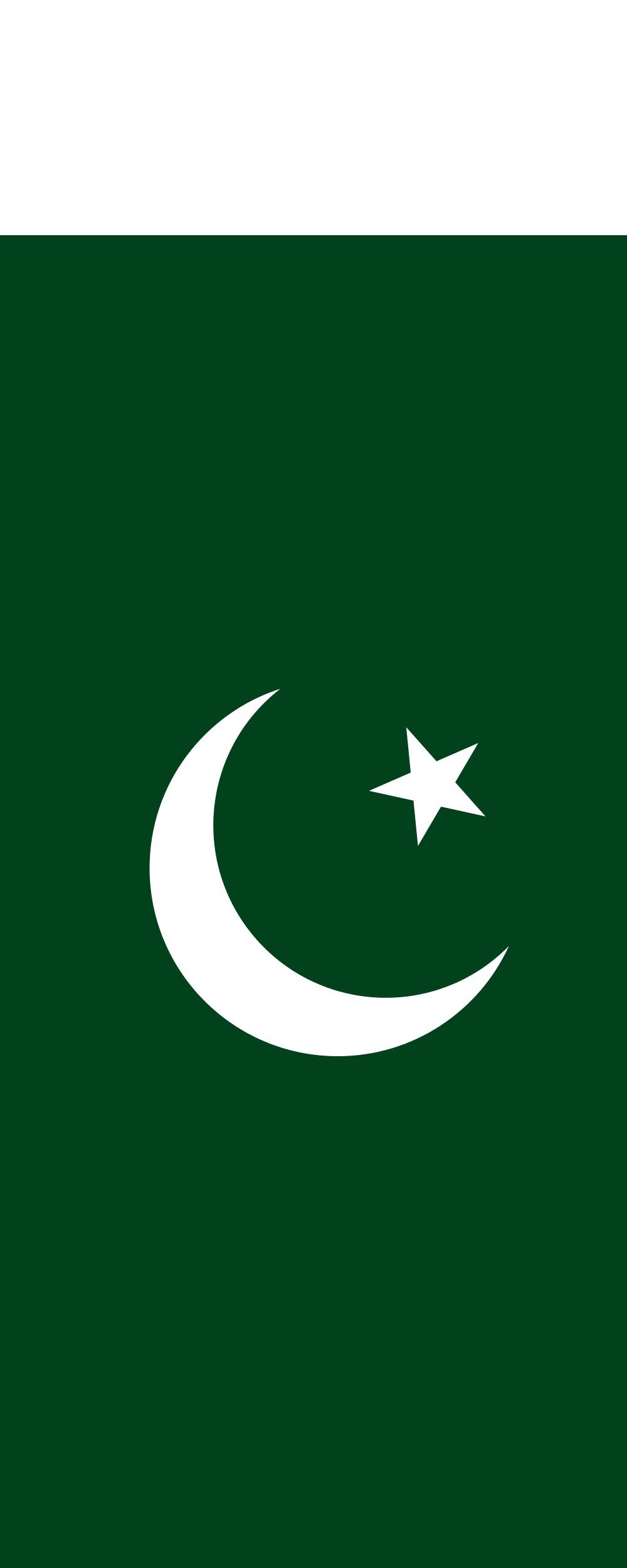 Drapeau Pakistan grand format vertical 3.5m² aux finitions soignées pour pavillon officiel