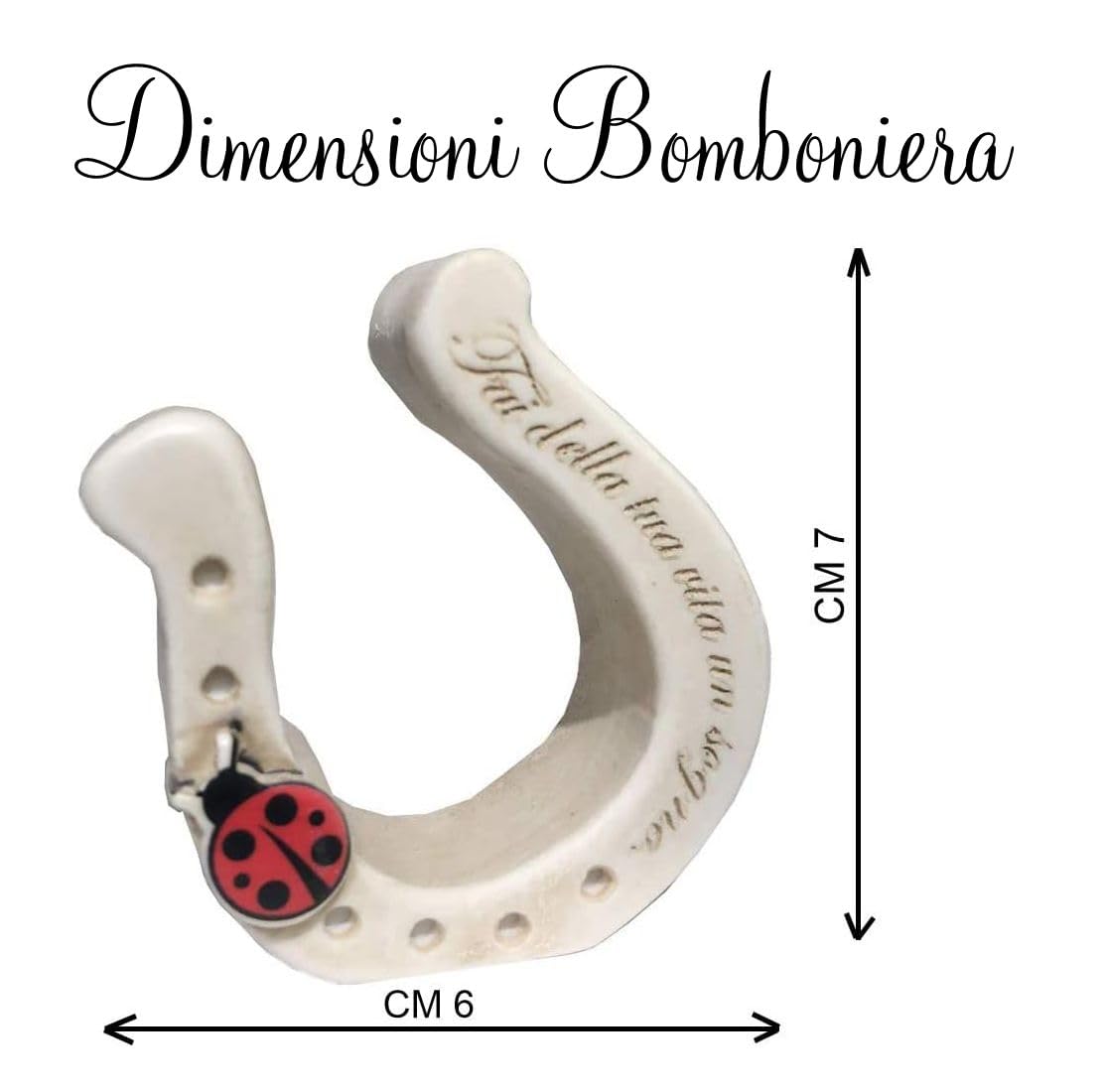 Regalami.Shop 10 Bomboniere Ferro di Cavallo in Marmo di Carrara Patinato + 10 Scatole, 10 bigliettini Bianchi e 10 portaconfetti, Ideali per Tutte Le Cerimonie