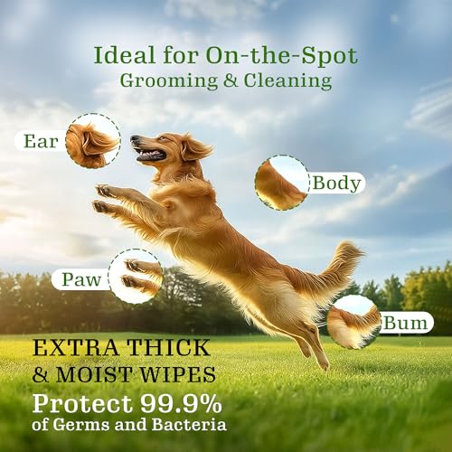 Image of Tailworld Grooming Pet Wet Wipes for Dogs & Cats with Aloe Vera Fragrance | Soft, Anti-Bacterial, Paraben & Alcohol Free Cleansing & Deodorising Wet Tissues | 600 Wipes (Pack of 6)