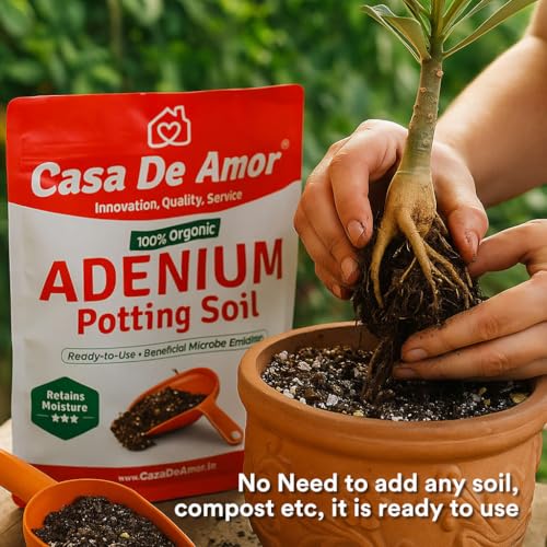 Image of Casa De Amor Organic Adenium & Desert Rose Potting Soil - Ready-to-Use, Microbe-Enriched Formula for Superior Drainage, Moisture Retention & Healthy Growth (2 KG)
