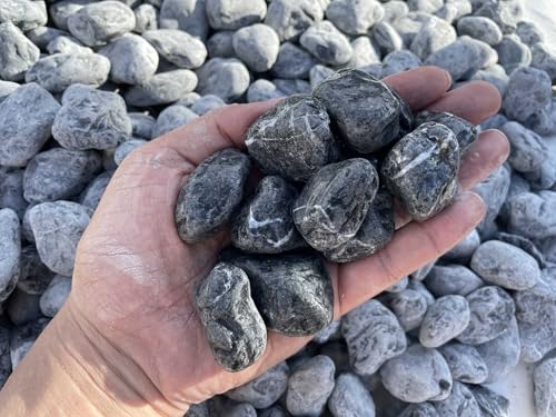 BO[ ʍijiDFjiO[j20KG Pi25`35mmj20kg ʍ/ʍ/킢//K[fjO// IVȒ Ȓ K[fjOύ 