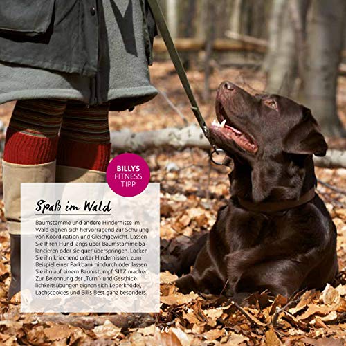 Backen für Hunde - Die besten Rezepte von Dogs Deli
