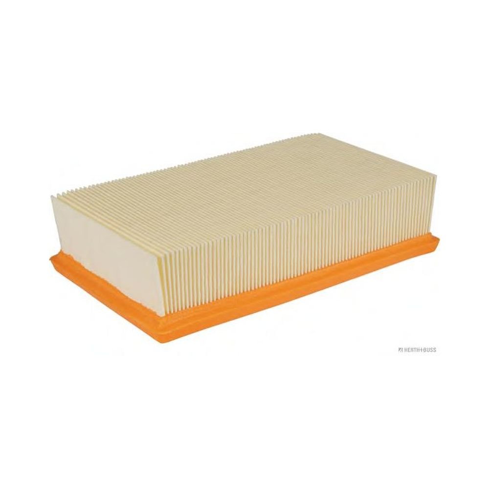 J1321055 Filtro Dell'Aria Fram 16546Ed000