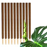 BigDean 10er Set Pflanzstäbe Kokos 110 cm - Monstera Rankhilfe Rankstäbe Stab Moosstäbe Pflanzenstäbe Kokosstäbe für Pflanzen - aus natürlicher Kokosfaser - verlängerbar