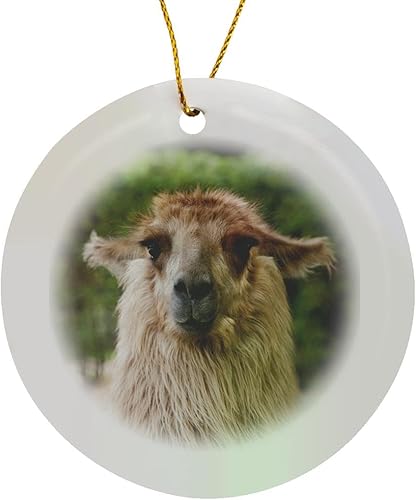 Miniatura 8 de 3dRose ORN_85812_1 Argentina, Mendoza, Llama at Club Tapiz - SA05 BJA0045 - Galería Jaynes - Adorno de copo de nieve, porcelana, 3 pulgadas