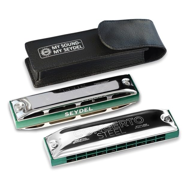 HARMONICA CONCERTO STEEL D