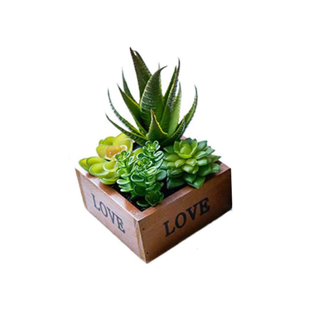 Emsa m5261900 Click & Grow Smart Garden 3 Jardín de Interior ...